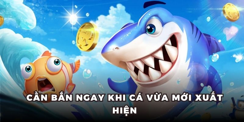Cần bắn ngay khi cá vừa mới xuất hiện